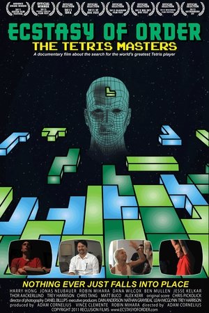 Ecstasy of Order: The Tetris Masters (2011) Poster
