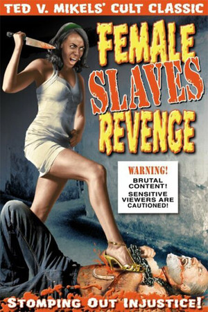 Apartheid SlaveWomens Justice (1997)