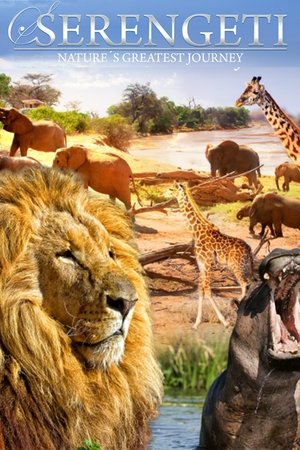 Serengeti: Natures Greatest Journey (2015) Poster