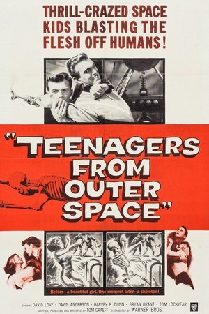 Teenagers from Outer Space (1959) Poster