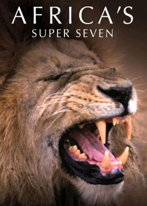 Africas Super Seven (2005)