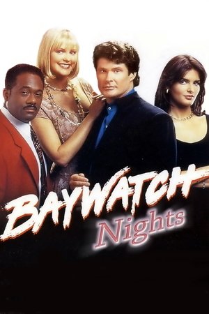 Baywatch Nights (19951997)