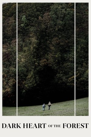 Le coeur noir des forets (2021)