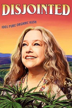 Disjointed (2017–2018)