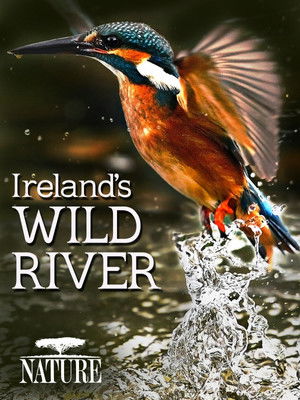Irelands Wild River (2014)