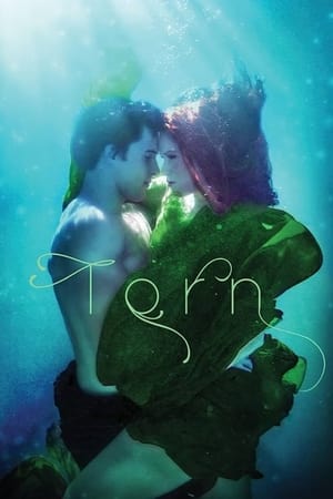 Torn A Wicked Trilogy (2022)