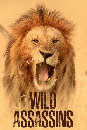 Wild Assassins (2023-)