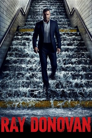 Ray Donovan (TV Series 2013)