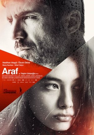 ArafSomewhere in Between (2012)
