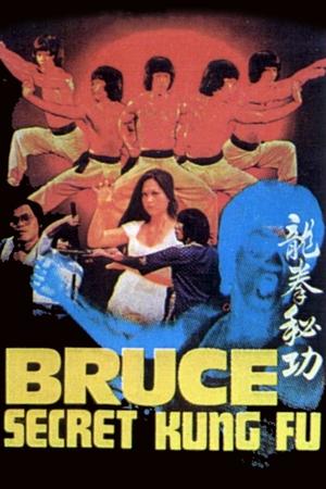 Bruces Secret Kung Fu (1988) Poster