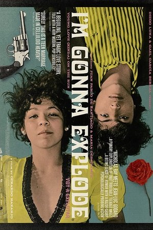 Im Gonna Explode (2008)