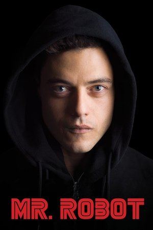 Mr. Robot (TV Series 2015 )