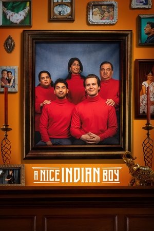 A Nice Indian Boy (2024)