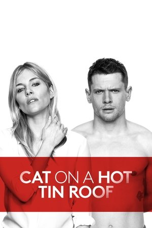 Cat on a Hot Tin Roof (2018)