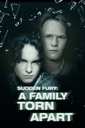 A Family Torn Apart (1993)