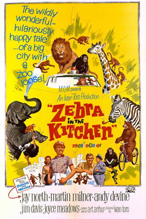 Zebra in the Kitchen (1965) Poster
