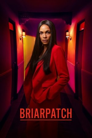Briarpatch (2019 )