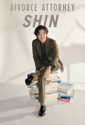  Divorce Attorney Shin (2023)