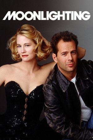 Moonlighting (19851989)