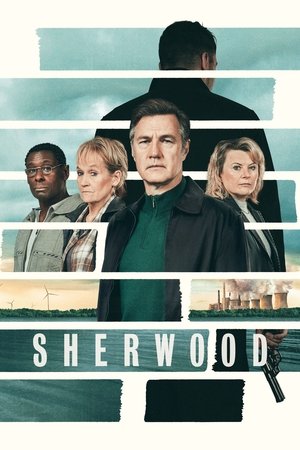 Sherwood (2022-)