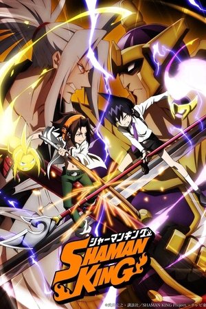 Shaman King (2021 )