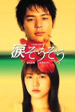 Nada so so (2006)