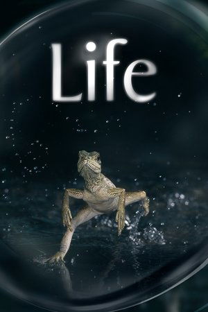 Life (2009)