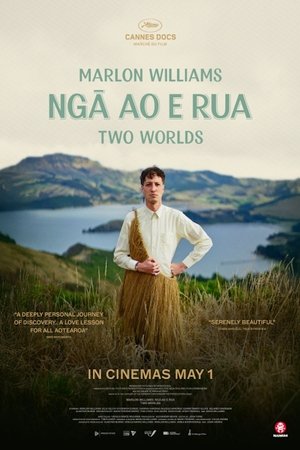 Marlon Williams Nga Ao E Rua Two Worlds (2025)