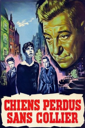 The Little Rebels (1955)