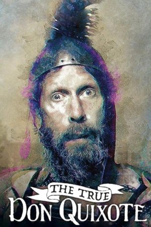 The True Don Quixote (2017)