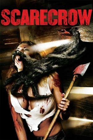 Scarecrow (TV Movie 2013)
