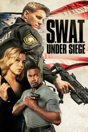 Untitled Siege Picture (2017)
