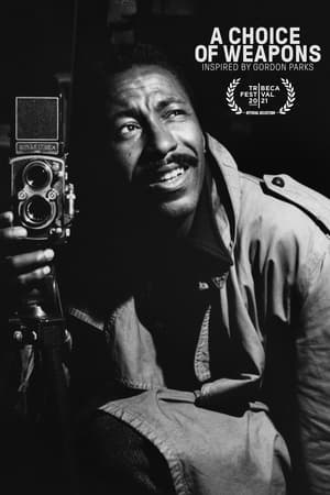 A Choice of Weapons Inspired by Gordon Parks (2021)