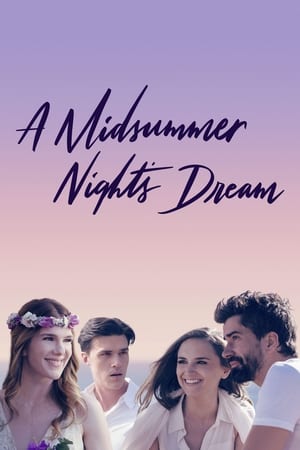 A Midsummer Nights Dream (2017) Poster