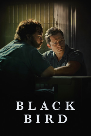 Black Bird (2022-)