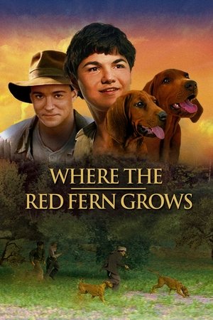 Where the Red Fern Grows (2003)