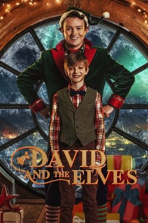 Dawid i Elfy (2021)