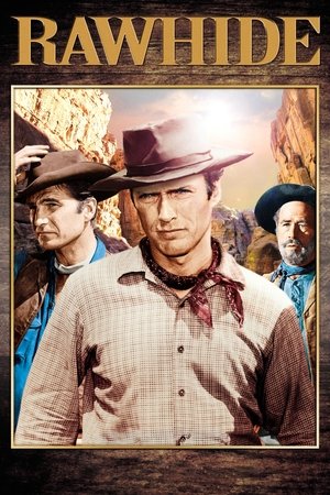 Rawhide (19591965)
