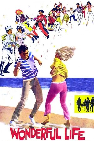 Swingers Paradise (1964) Poster