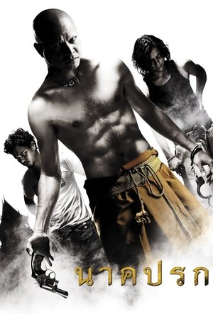 Nak prok (2008)