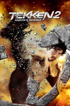 Tekken: Kazuyas Revenge (2014)