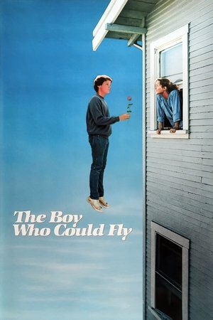 The Boy Who Could Fly (1986)