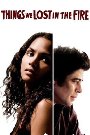 Things We Lost in the Fire (2007)