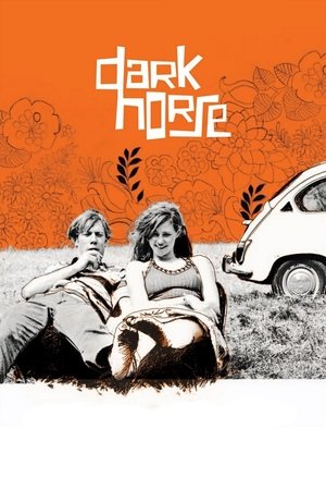 Voksne mennesker (2005)