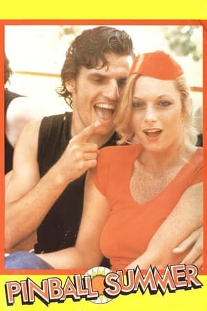 Pickup Summer (1980) Poster