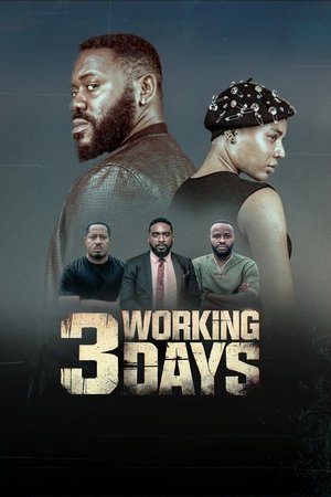 3 Working Days (2024)