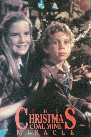 Christmas Miracle in Caufield, U S A (1977)