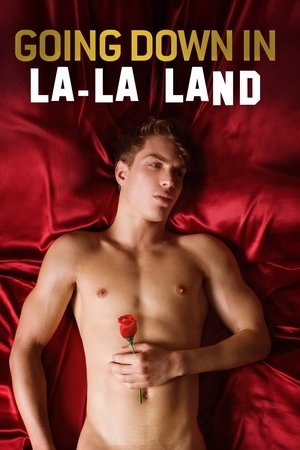 Going Down in LALA Land (2011)