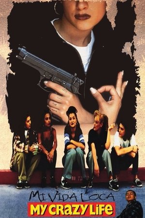 Mi vida loca (1993)