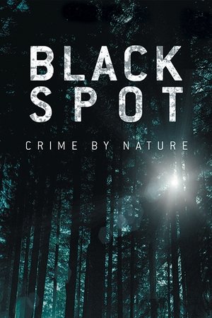 Black Spot (2017–2019)